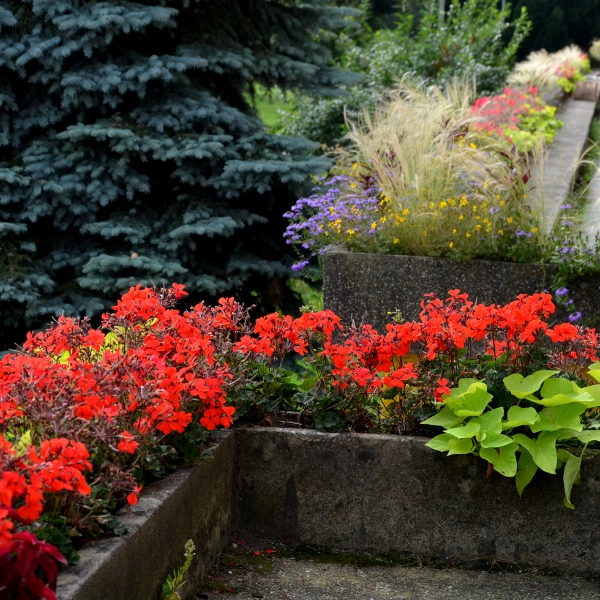 Image showing a DIY gardener building a raised bed with concrete blocks.